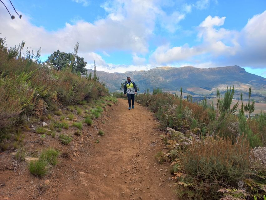 Stellenbosch: Half-Day Guided Nature Hike and Wine Tasting - Who Will Love This Tour?