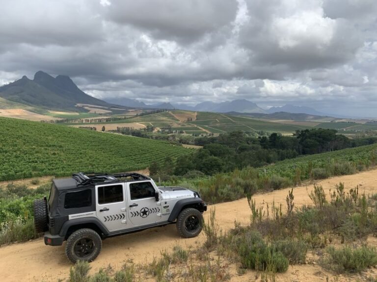 Stellenbosch: Wine Tour - Award Winning Jeep Tours Cape Town - The Vineyards and Wine Tastings