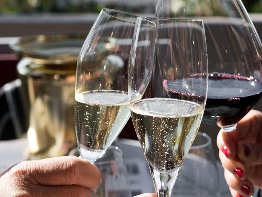 Stellenbosch: Wineries and Safari Tour with Wine Tasting - The Practical Side: What to Expect