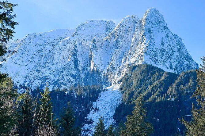 Stevens Pass Ski Resort Tour from Seattle - Who Is This Tour Best Suited For?