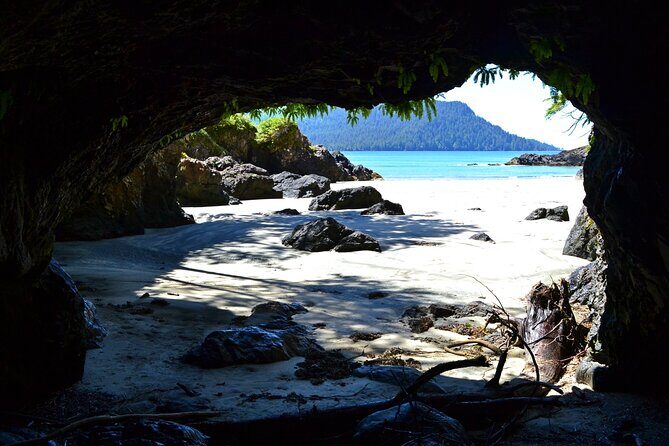 STUNNING San Josef Bay Tour in Cape Scott Provincial Park - What We Loved and What to Consider