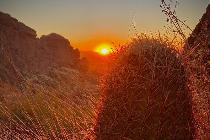 Stunning Sunset or Sunrise Guided Hiking Adventure in Phoenix - The Bottom Line