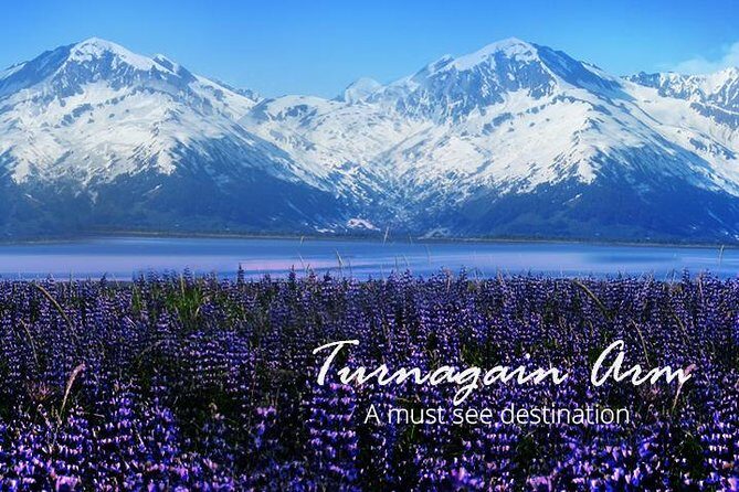 Stunning Turnagain Arm Tour: "A Must See Destination" - The Value of This Tour