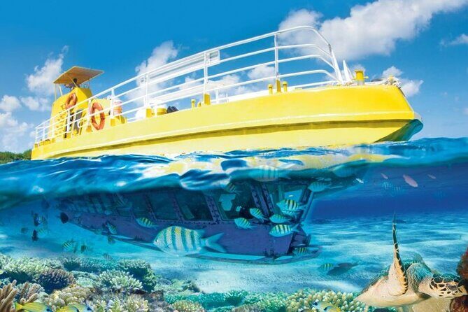 Subsea Subsee - Authentic Experiences & Feedback from Travelers