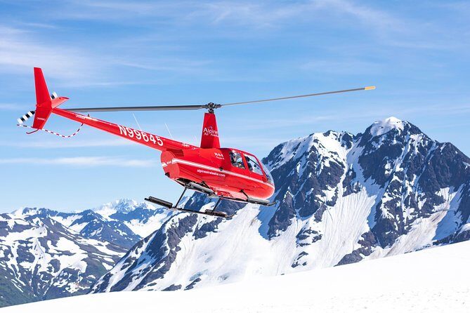 Summer Glacier Dogsledding Tour from Girdwood - Authentic Reviews and What They Reveal