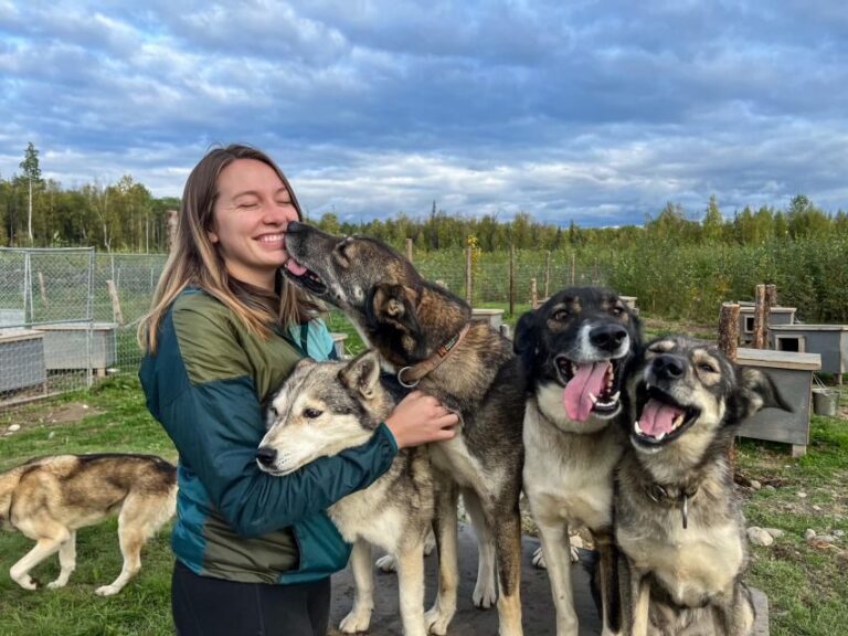 Summer Sled Dog Kennel Tour - Why This Experience Matters