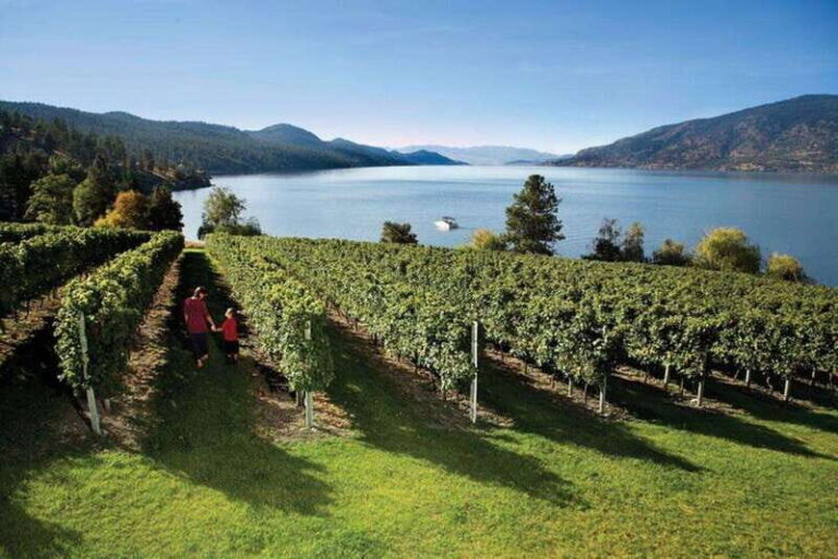 Summerland: Full-Day Wine Tour with Tastings - Transportation and Comfort