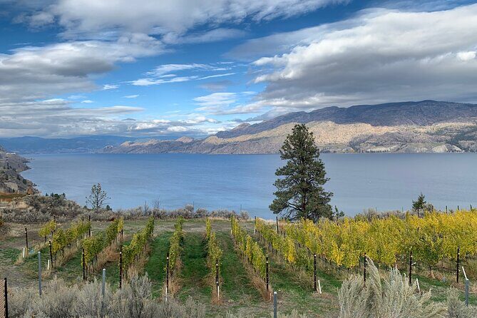 Summerland Half Day Wine Tour (Incl. Tasting Fees & Guide Grat!) - Who Will Love This Tour?