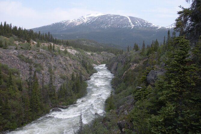Summit Experience & Yukon Suspension Bridge Tour - Exploring the Itinerary