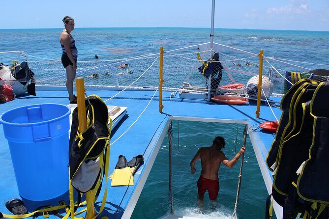 Sun, Snorkel & Sip : Key West Day Trip from Miami - Key Points