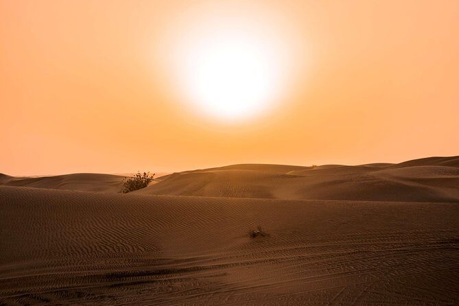 Sundowner Desert Safari and Dinner - The Itinerary in Detail