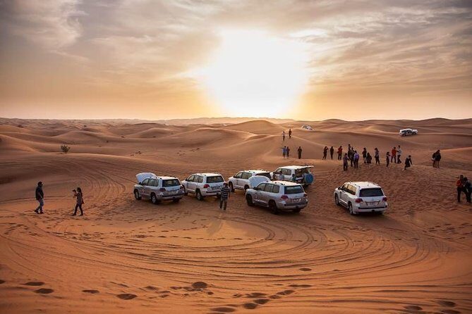 Sundowner Dune Safari With Dinner - What the Reviews Say