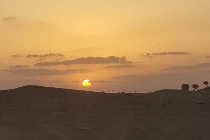 Sunrise Desert Safari - A Magical Morning in Dubai - What Makes This Tour Stand Out?