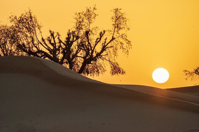Sunrise/Morning Dune Drive with Camel Trek & Sand Surfing - What’s Included and What’s Not