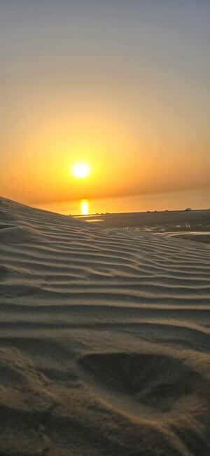 Sunrise or Sunset desert Safari with Sandboarding in Qatar - Who Will Love This Tour?