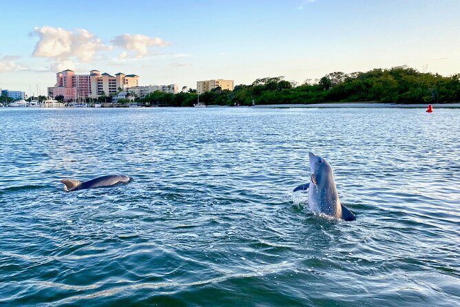 Sunset and Dolphin Cruise around Fort Myers Beach - Who Will Love This Cruise?