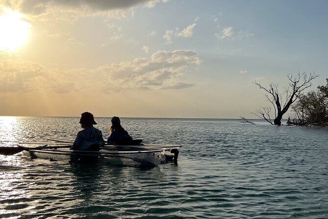 Sunset and Glow Clear Kayak Tour in North Naples - The Experience: From Sanity to Serenity