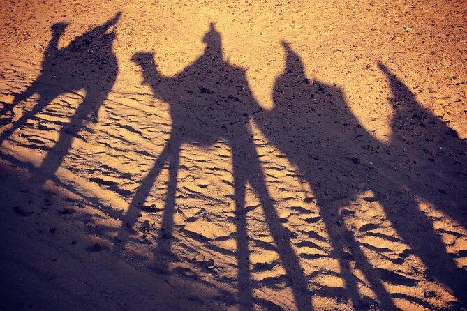 sunset at Giza pyramids by camels - A Detailed Look at the Itinerary and Experience