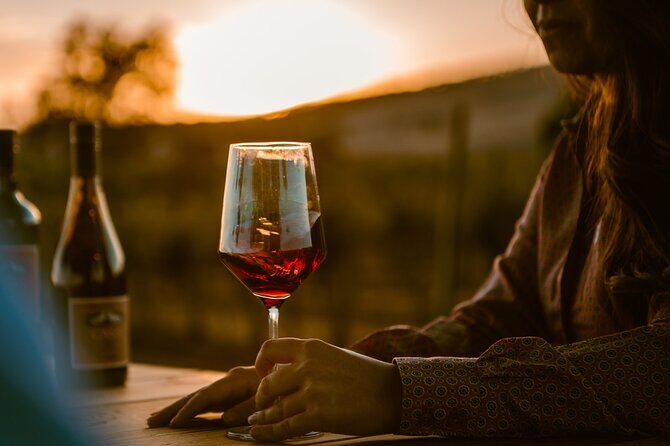 Sunset at the Vineyards Sidecar Wine Adventure Paso Robles - Authentic Experiences and Opinions from Guests