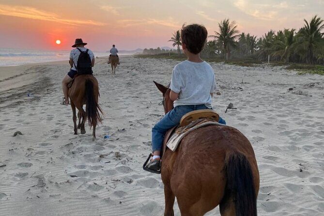 Sunset by horse (river and beach) - The Sum Up
