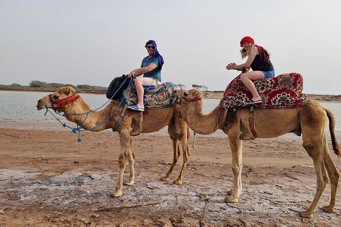 Sunset Camel Ride in Agadir with Dinner in Habitant House - Who Would Love This Tour?