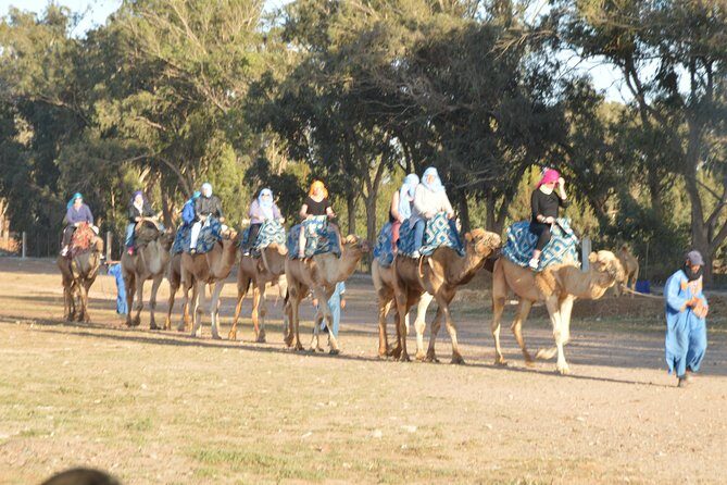 Sunset camel ride in Agadir with transport, tea and cakes. - Practical Tips for Your Camel Ride