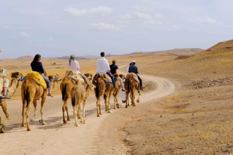 Sunset Camel Ride in Agafay Desert with dinner and pool - What’s Included and What to Consider