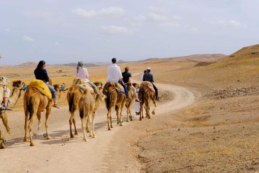 Sunset Camel Ride in Agafay Desert with dinner and pool - What’s Included and What to Consider