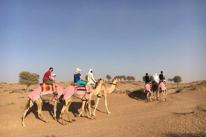 Sunset Camel Ride Including BBQ Dinner From Ras Al Khaimah - Analyzing the Value and Practical Considerations