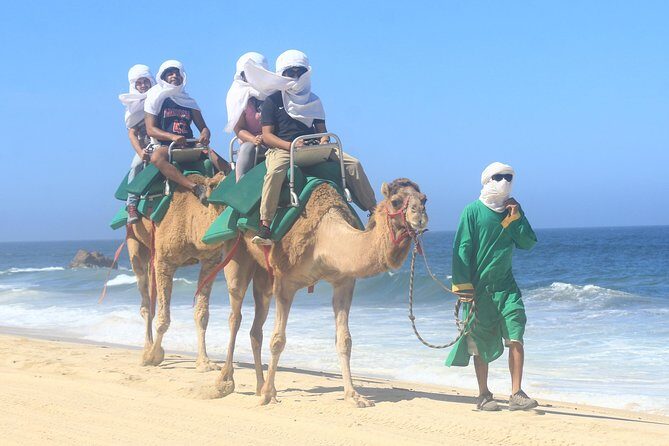 Sunset Camel Ride Tour - What Makes This Tour Stand Out