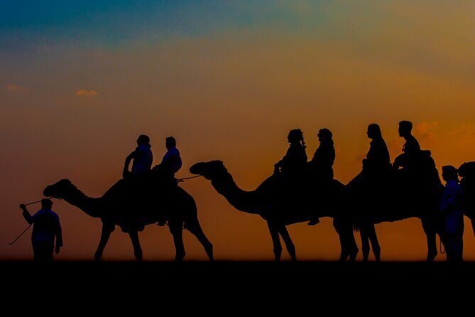 Sunset Camel Trekking with Falcon Show & VIP BBQ Dinner - Practical Details