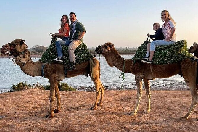 Sunset camel with barbecue dinner - The Itinerary in Detail