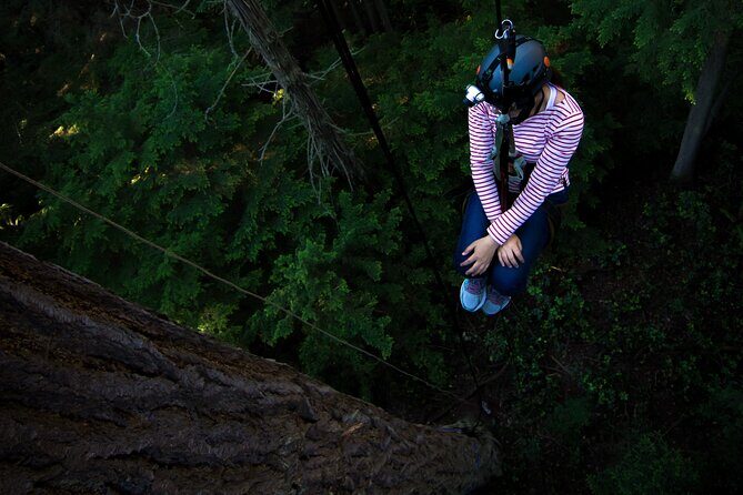 Sunset Canopy Climb on Lopez Island - What Previous Participants Say