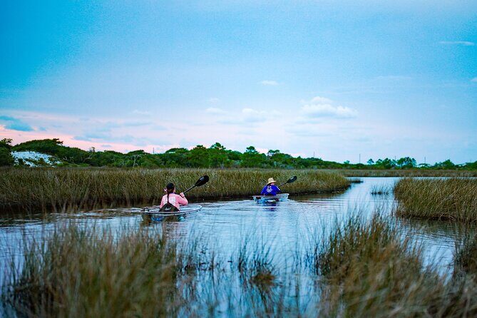 Sunset Clear Kayak Tour Destin Ft. Walton Beach - The Experience’s Value and Limitations