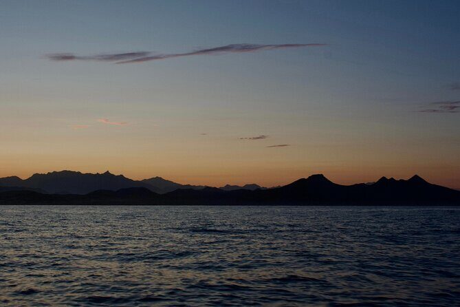 Sunset Cruise in San Jose del Cabo - What to Expect on This Sunset Cruise