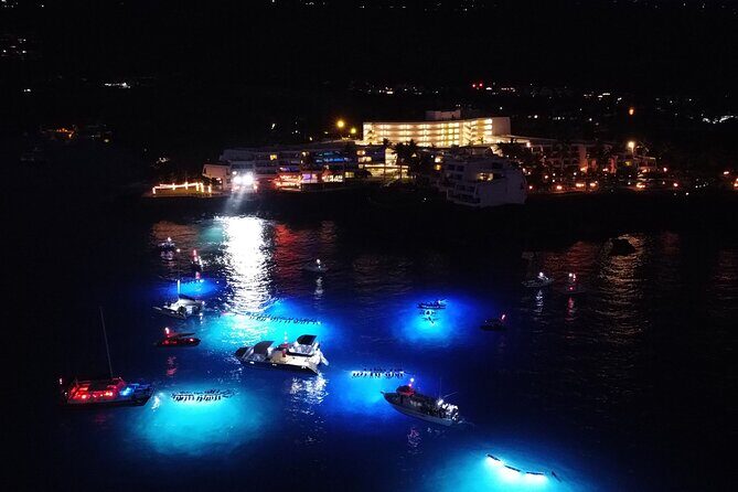 Sunset Cruise & Manta Night Snorkeling Charter - The Value of a Private Experience