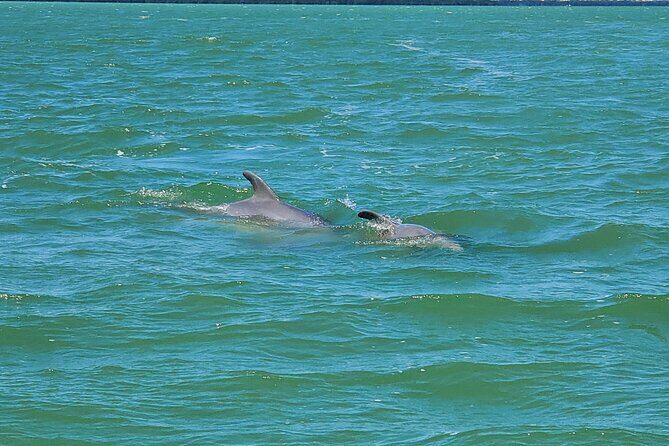 Sunset Dolphin Cruise with Sanibel Lighthouse Views - What’s Included and What’s Not