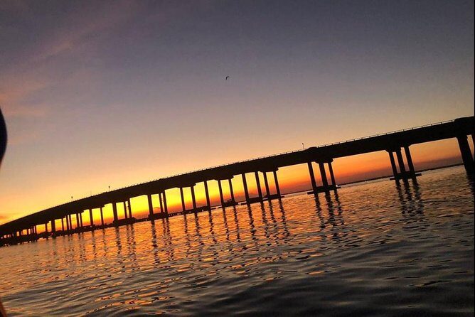 Sunset Dolphin Watching Cruise in Destin Harbor - What the Reviews Say