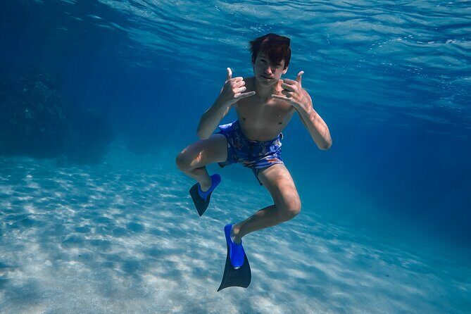 Sunset Glow Snorkel At Turtle Town With Photo & Video - The Value and Overall Experience