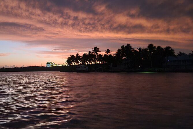 Sunset Kayak Adventure with Enchanting Underwater Lights - The Itinerary: A Step-by-Step Look