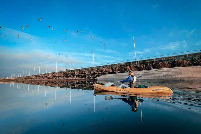 Sunset Kayak Tour in Santa Barbara Harbor (2 Hours) - What to Bring and Tips for a Smooth Trip