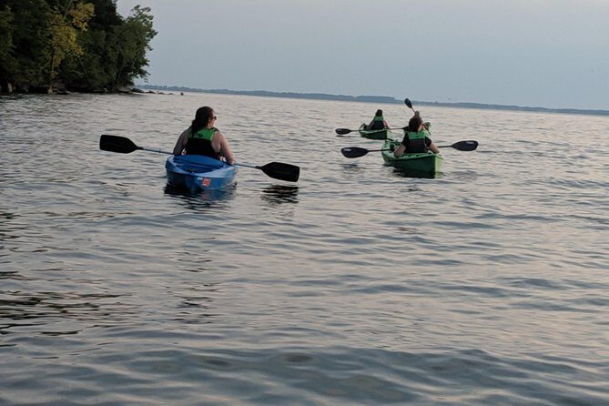 Sunset Kayak Tour - The Experience of Paddling and Wildlife Observation