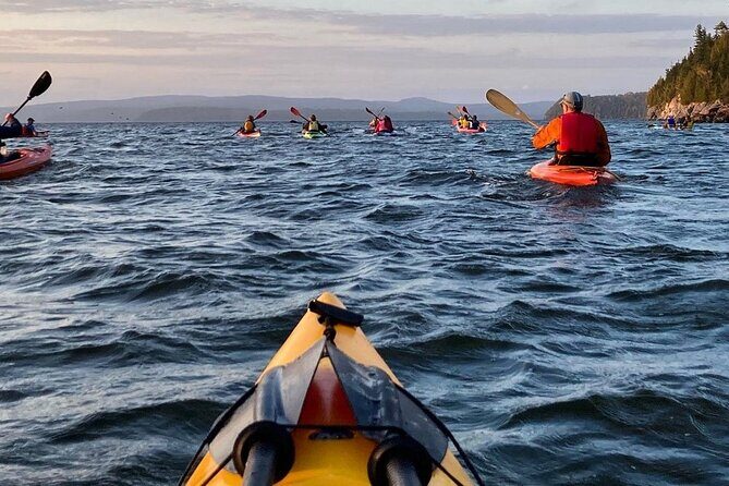 Sunset Kayaking in Dominion Park Beach - Authenticity and Authentic Experiences