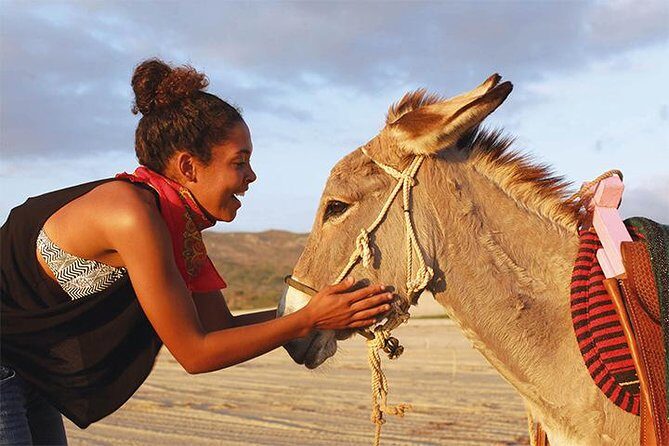 Sunset Pacific Donkey Hiking Tour - Detailed Breakdown of the Experience