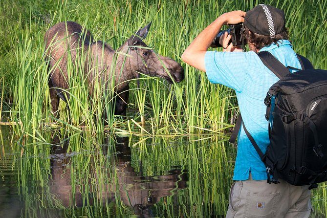 Sunset Photo Safari - Final Thoughts: Is It Worth It?