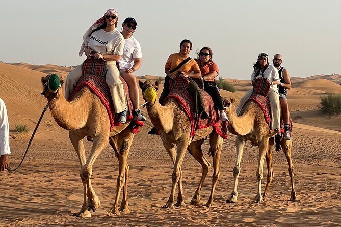Sunset Safari with BBQ Dune Drive Camel Ride & Dune Buggy option - How the Experience Looks in Real Life
