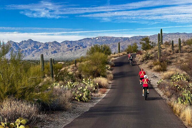 Sunset Saguaro National Park, East Guided E-Bike Tour - What’s Included and What’s Not