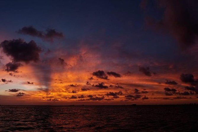 Sunset Sail in Miami: Complimentary Champagne Toast - Who Will Love This Tour