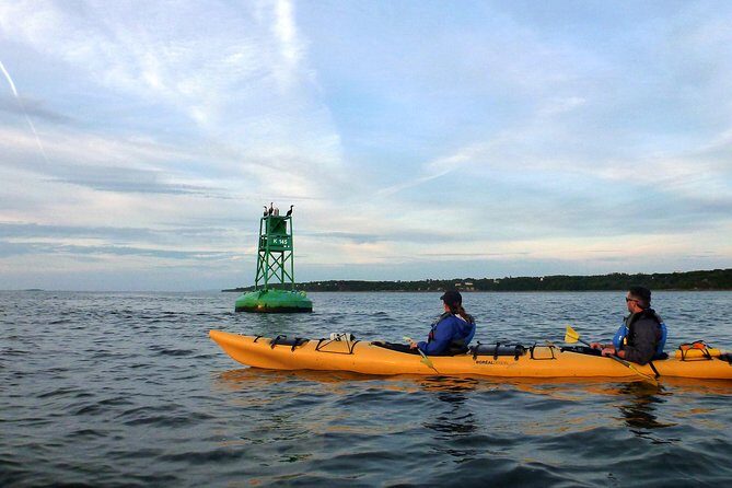 Sunset Sea-Kayaking Excursion on St. Lawrence River - Authentic Experiences and Real Traveler Opinions