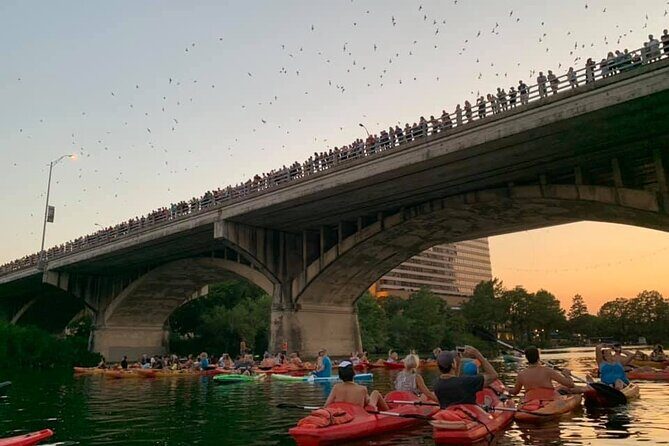 Sunset Skyline Kayak Tour - Who Will Appreciate This Tour?